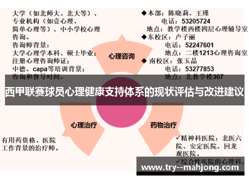 西甲联赛球员心理健康支持体系的现状评估与改进建议